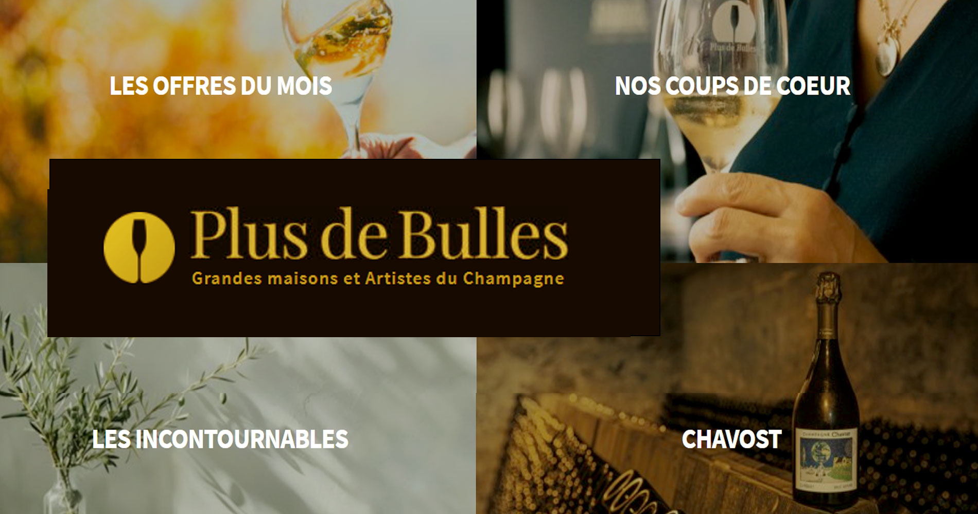 voir le catalogue Plus de bulles