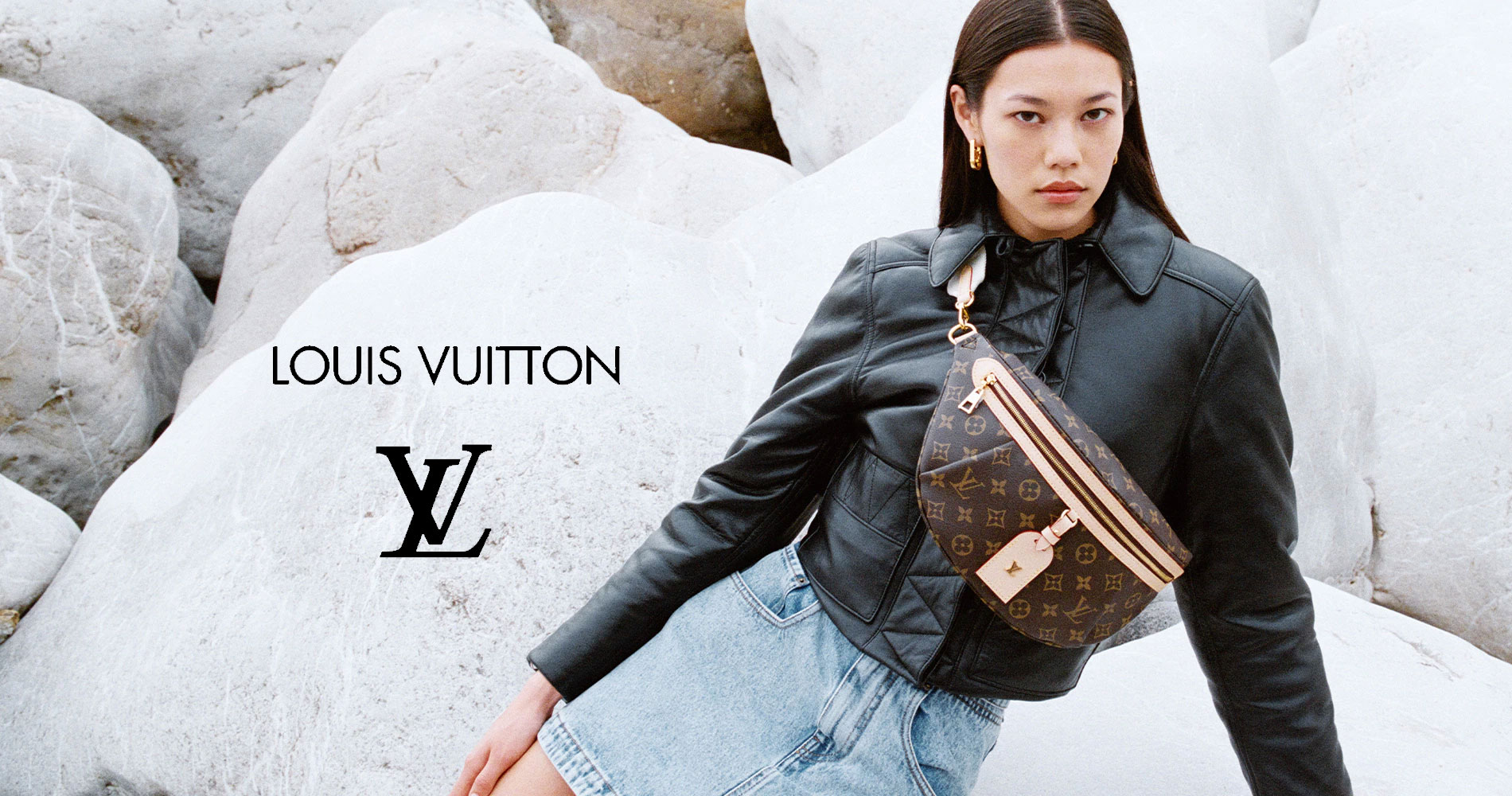 voir les maroquineries Louis Vuitton
